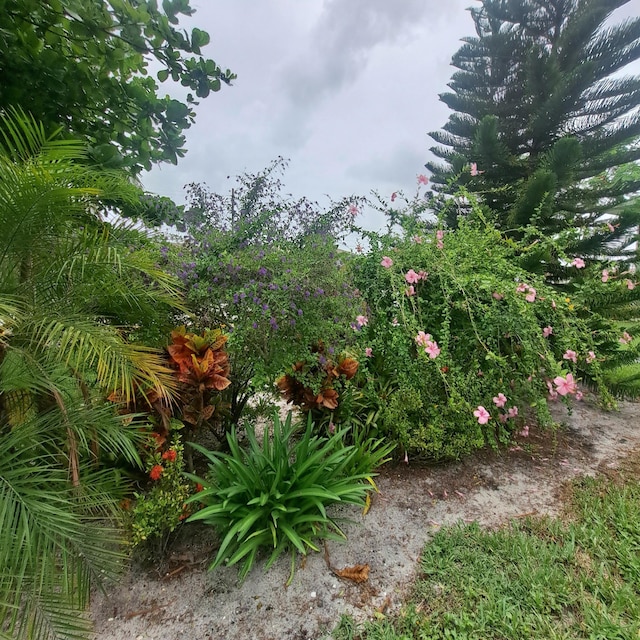 70 Easthampton C, West Palm Beach, FL 33417 - view of undeveloped land
