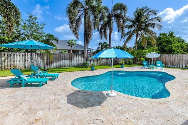 1101 SW Kickaboo Rd, Port Saint Lucie, FL 34953 - view of pool featuring a patio and a fenced backyard