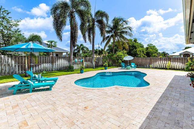 1101 SW Kickaboo Rd, Port Saint Lucie, FL 34953 - view of swimming pool featuring a patio area and a fenced backyard