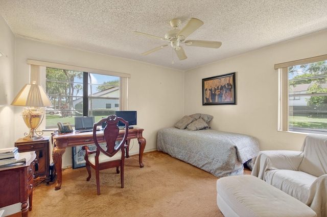 8811 SW 21st Ct Unit B, Boca Raton, FL 33433 - bedroom featuring multiple windows, carpet flooring, a textured ceiling, and a ceiling fan