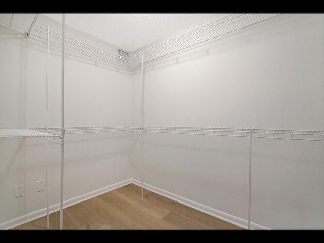 3636 Whitehall Dr Unit 401, West Palm Beach, FL 33401 - walk in closet featuring wood finished floors