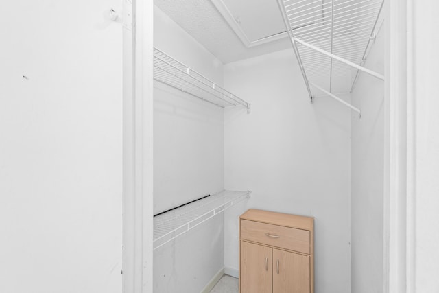 2203 Campanelli Blvd, Boynton Beach, FL 33426 - view of walk in closet