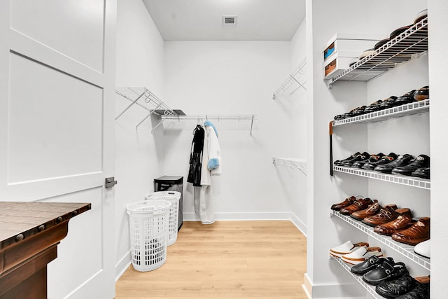 13496 Bernoulli Way, Palm Beach Gardens, FL 33418 - spacious closet with light wood-type flooring