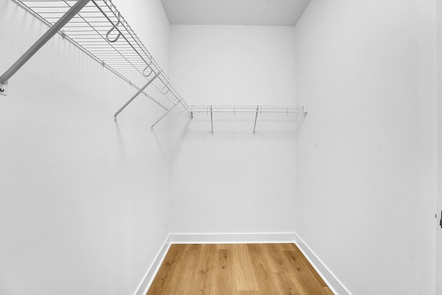 13496 Bernoulli Way, Palm Beach Gardens, FL 33418 - walk in closet featuring light wood-style flooring