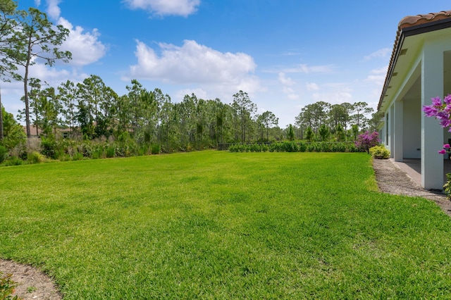 3153 SW Pond Apple St, Palm City, FL 34990 - view of grassy yard