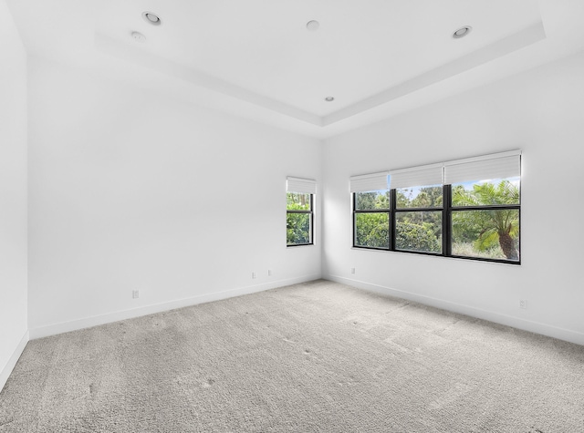 13058 Artisan Cir, Palm Beach Gardens, FL 33418 - unfurnished room with a raised ceiling, carpet, and recessed lighting