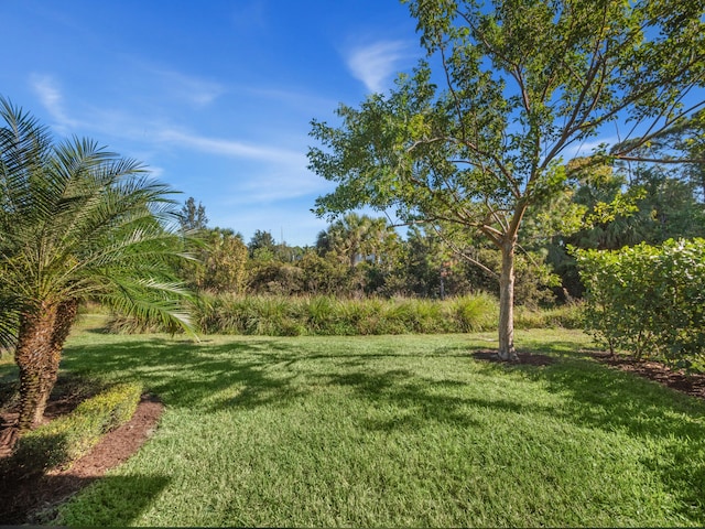 13058 Artisan Cir, Palm Beach Gardens, FL 33418 - view of green lawn