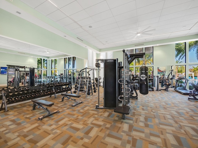 13058 Artisan Cir, Palm Beach Gardens, FL 33418 - exercise room with carpet flooring and a ceiling fan