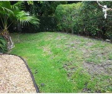 5051 Pointe Emerald Ln Unit 5051, Boca Raton, FL 33486 - view of grassy yard