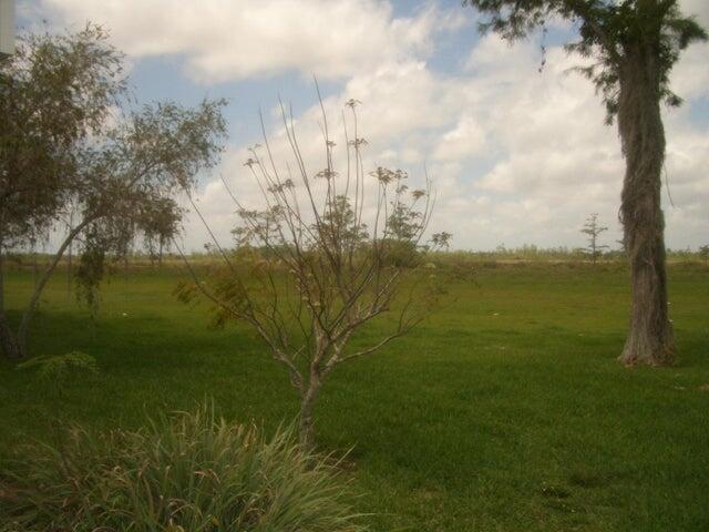 24 Dunbar Rd, Palm Beach Gardens, FL 33418 - view of grassy yard featuring a rural view