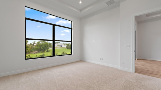 203 SE Via Sangro, Port Saint Lucie, FL 34952 - spare room with light colored carpet, a tray ceiling, and recessed lighting
