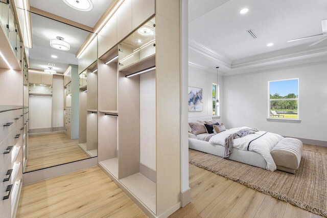 11533 Manatee Ter Unit 11533, Lake Worth, FL 33449 - walk in closet with light wood-style floors and a raised ceiling