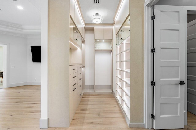 11533 Manatee Ter Unit 11533, Lake Worth, FL 33449 - spacious closet with light wood-type flooring