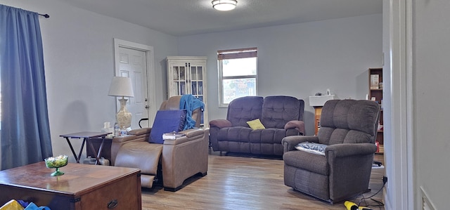 716 NW 16th St, Belle Glade, FL 33430 - living area with light wood-style flooring