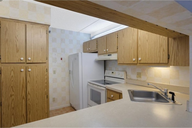 4444 NE Ocean Blvd Unit C2, Jensen Beach, FL 34957 - kitchen with white range with electric stovetop, under cabinet range hood, light countertops, and tasteful backsplash
