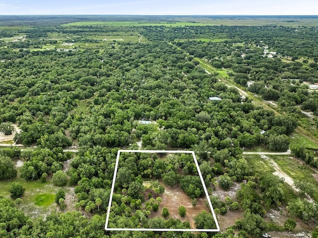 20168 NW 294th St, Okeechobee, FL 34972