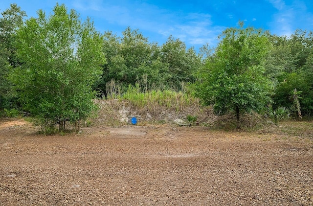 20168 NW 294th St, Okeechobee, FL 34972