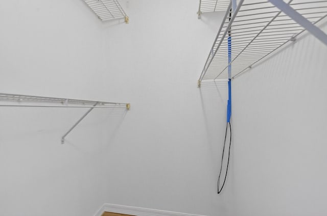 8182 Duomo Cir, Boynton Beach, FL 33472 - view of spacious closet
