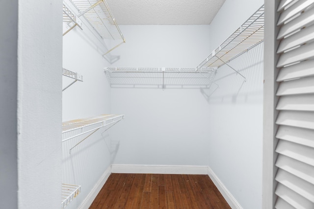 5961 NW 61st Ave Unit 203, Tamarac, FL 33319 - spacious closet with dark wood-style floors