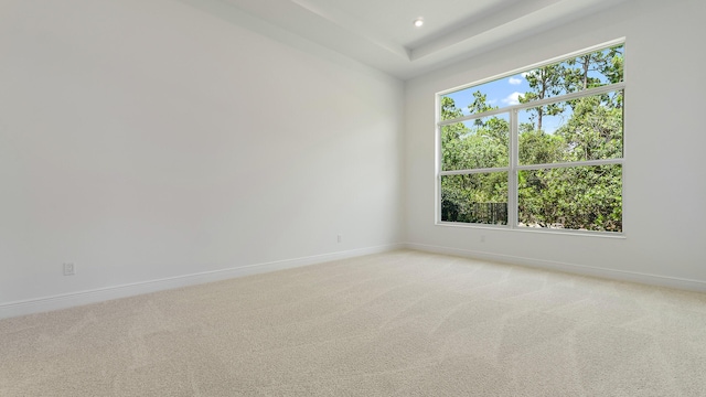 204 SE Via Sangro, Port Saint Lucie, FL 34952 - unfurnished room with light colored carpet and recessed lighting