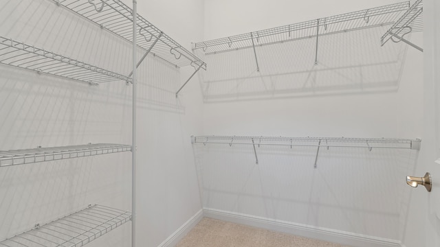 204 SE Via Sangro, Port Saint Lucie, FL 34952 - walk in closet featuring carpet