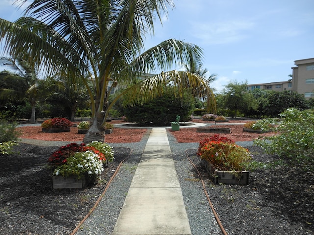 2515 NE 1st Ct Unit 117, Boynton Beach, FL 33435 - view of home's community
