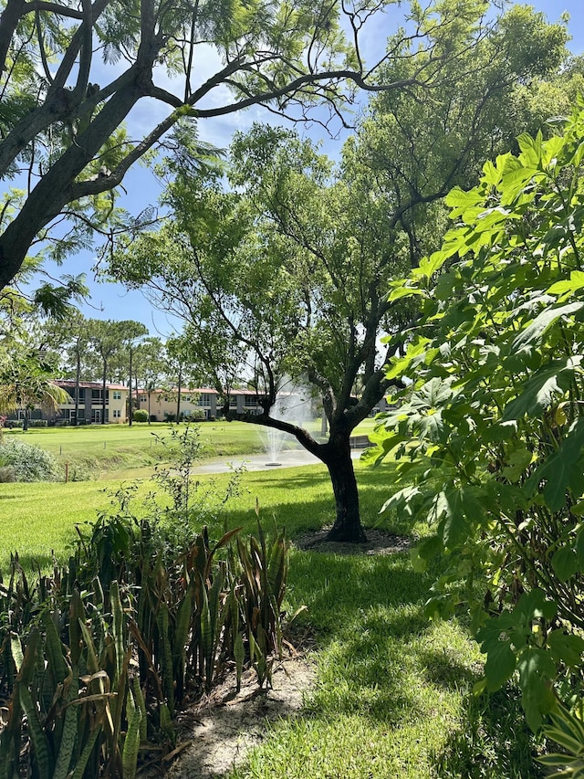 1957 SW Palm City Rd Unit B, Stuart, FL 34994 - view of green lawn