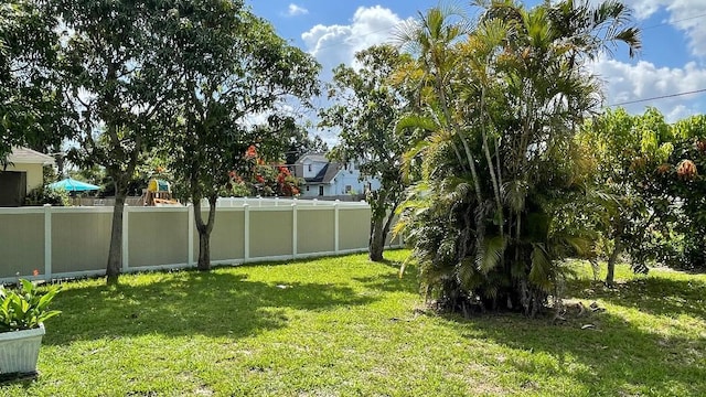 1044 SW Canary Ter, Port Saint Lucie, FL 34953 - view of yard