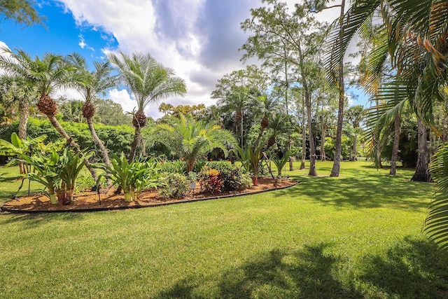 15687 83rd Way N, Palm Beach Gardens, FL 33418 - view of grassy yard