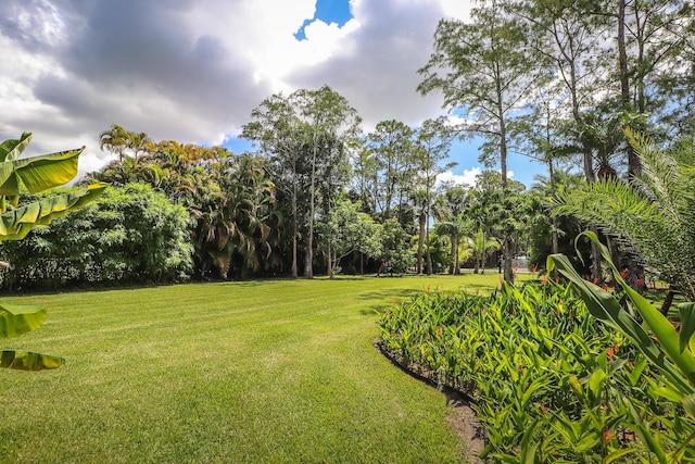 15687 83rd Way N, Palm Beach Gardens, FL 33418 - view of green lawn featuring view of wooded area