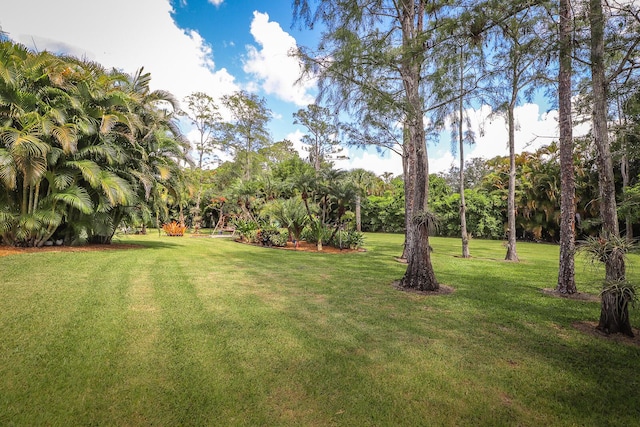 15687 83rd Way N, Palm Beach Gardens, FL 33418 - view of grassy yard with view of wooded area