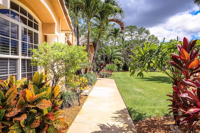 15687 83rd Way N, Palm Beach Gardens, FL 33418 - view of grassy yard