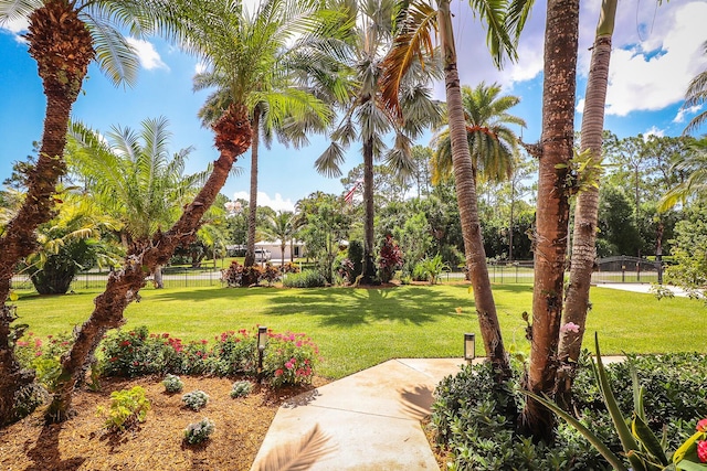 15687 83rd Way N, Palm Beach Gardens, FL 33418 - view of yard