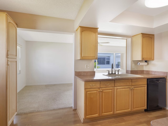 625 SW 21st Cir, Boynton Beach, FL 33426 - kitchen with dishwasher, light brown cabinets, and light wood-style floors