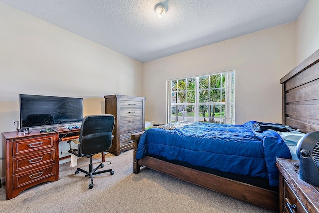 7727 Colony Lake Dr, Boynton Beach, FL 33436 - bedroom with light colored carpet, an office area, and a textured ceiling