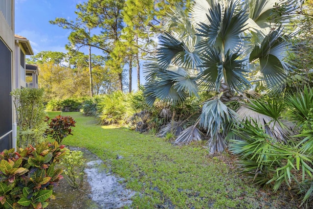 9894 Perfect Dr Unit 21, Port Saint Lucie, FL 34986 - view of green lawn