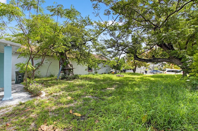 323 S E St, Lake Worth Beach, FL 33460 - view of yard