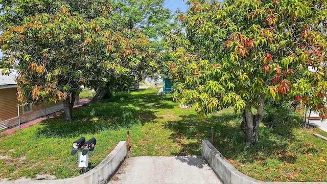 323 S E St, Lake Worth Beach, FL 33460 - view of yard