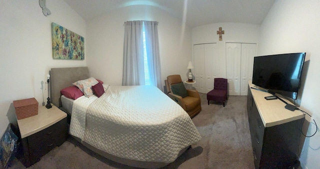 209 SW Christmas Ter, Port Saint Lucie, FL 34984 - bedroom featuring carpet, multiple closets, and lofted ceiling