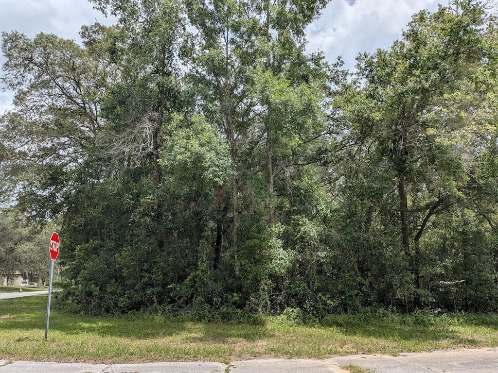 8989 N Conch Ter, Dunnellon, FL 34434