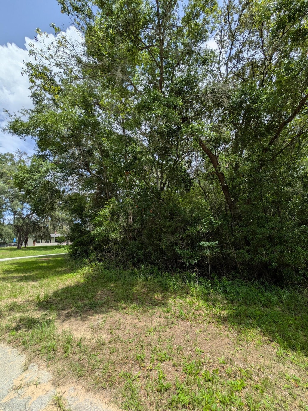 8989 N Conch Ter, Dunnellon, FL 34434