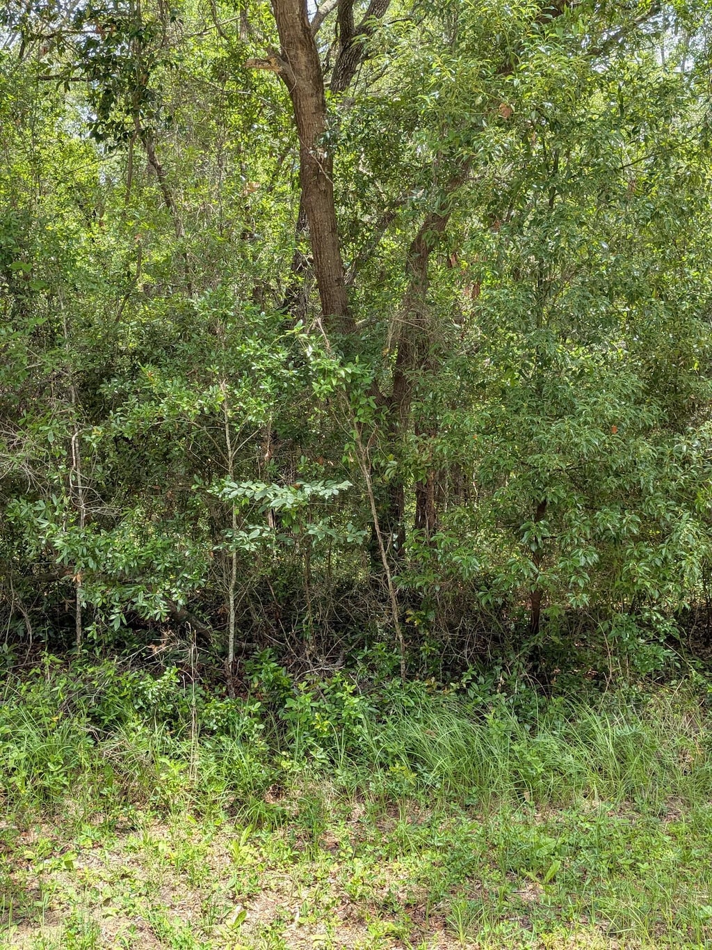 8989 N Conch Ter, Dunnellon, FL 34434