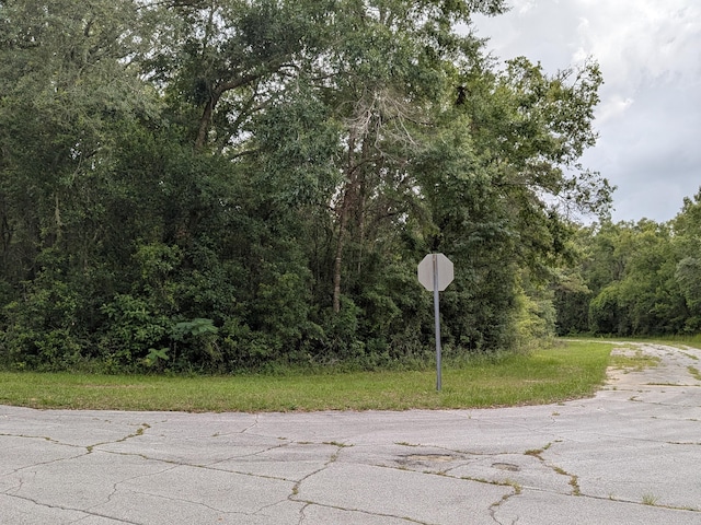 8989 N Conch Ter, Dunnellon, FL 34434