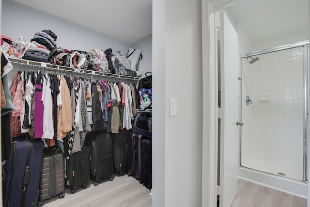 1102 Republic Ct, Deerfield Beach, FL 33442 - walk in closet featuring wood finished floors