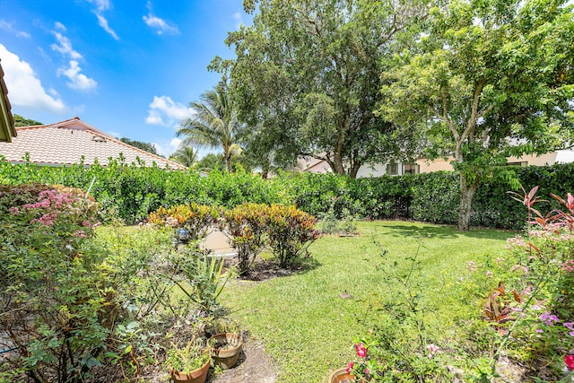 2029 Greenview Cove Dr, Wellington, FL 33414 - view of grassy yard
