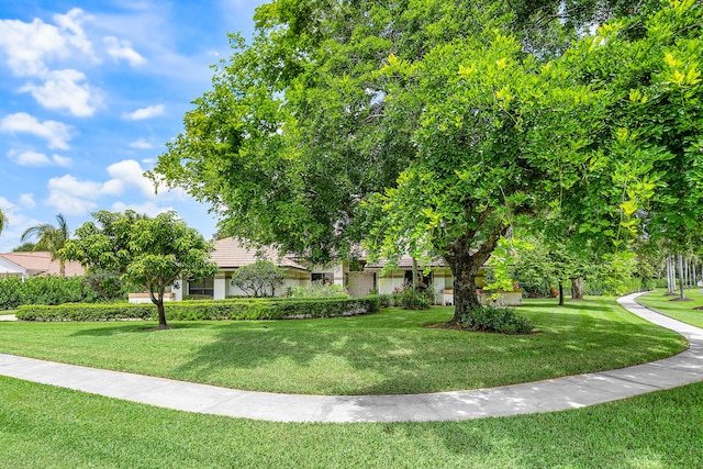 2029 Greenview Cove Dr, Wellington, FL 33414 - view of property hidden behind natural elements with a front lawn and stucco siding