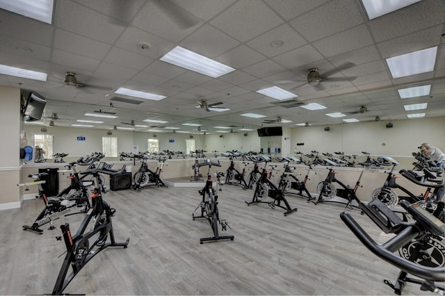 188 Upminster I Unit 188, Deerfield Beach, FL 33442 - workout area with wood finished floors, ceiling fan, and a drop ceiling