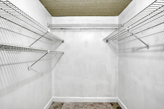300 Village Green Cir S Unit 120, Palm Springs, FL 33461 - view of spacious closet