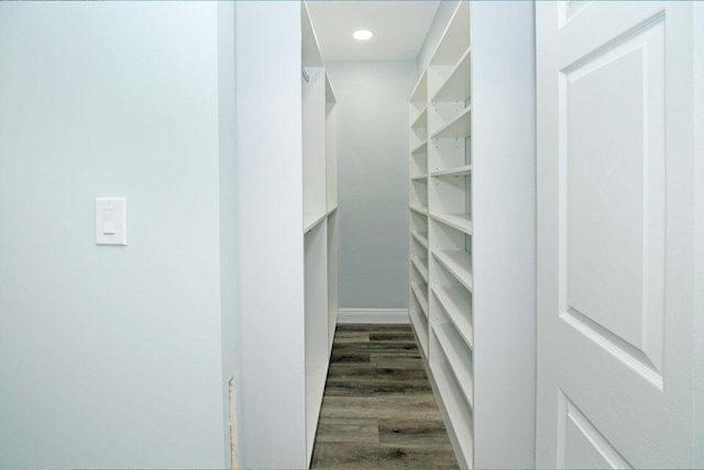 3580 Dunes Rd, Palm Beach Gardens, FL 33410 - spacious closet with dark wood-style floors