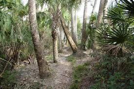 650 NE Waters Edge Ln, Port Saint Lucie, FL 34983 - view of undeveloped land
